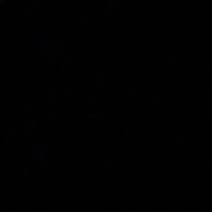 Meet your Posher, Hamad